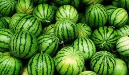 高州网红吃瓜事件真相,真相背后引人深思